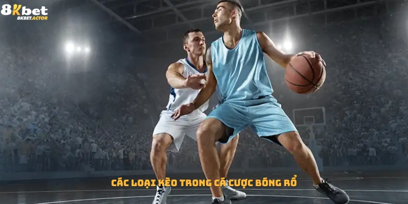 Các loại kèo phổ biến trong cá cược bóng rổ Các loại kèo phổ biến trong cá cược bóng rổ