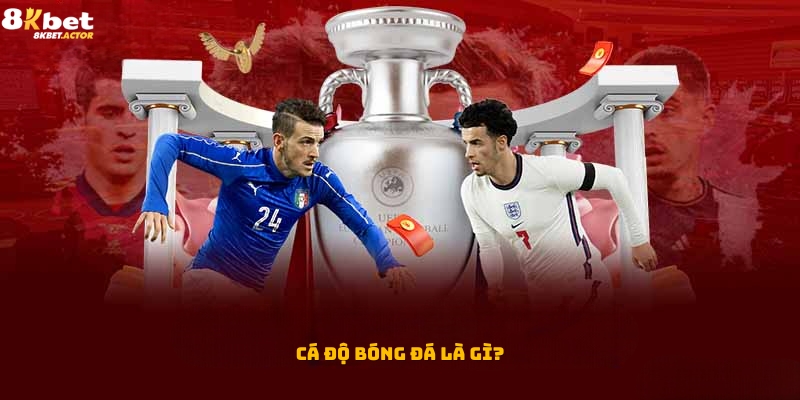 Tìm hiểu cá độ bóng đá là gì? Tìm hiểu cá độ bóng đá là gì?