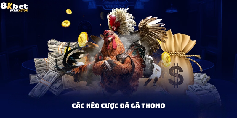 Tổng hợp các kèo cược đá gà Thomo phổ biến Tổng hợp các kèo cược đá gà Thomo phổ biến
