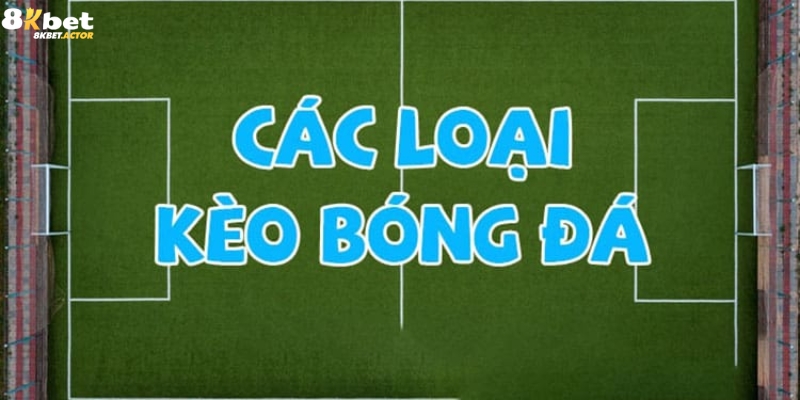 Các loại kèo cá độ bóng đá phổ biến nhất Các loại kèo cá độ bóng đá phổ biến nhất
