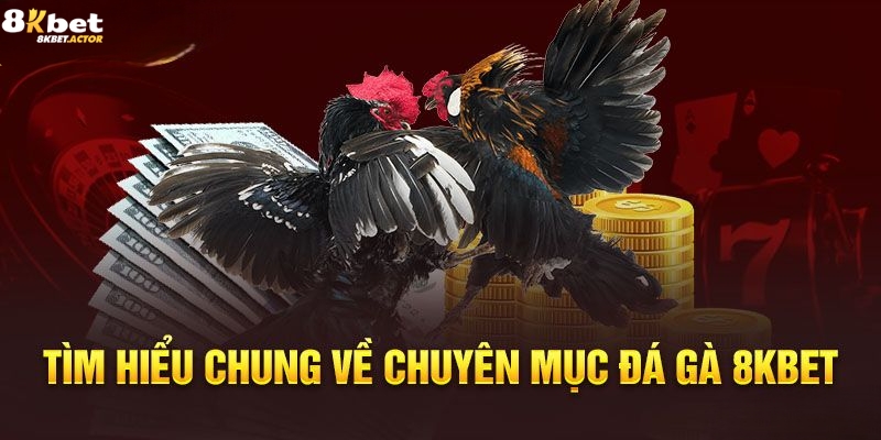 Các hình thức cá cược đá gà 8Kbet Các hình thức cá cược đá gà 8Kbet