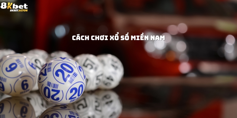 Học cách chơi xổ số miền Nam Học cách chơi xổ số miền Nam