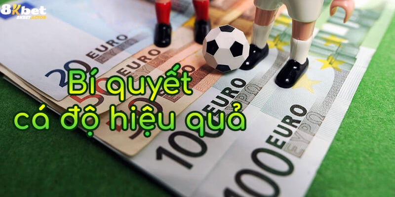 Học cách xem kèo bóng đá để thắng lớn Học cách xem kèo bóng đá để thắng lớn