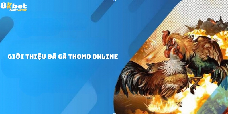 Giới thiệu thông tin chung đá gà Thomo online Giới thiệu thông tin chung đá gà Thomo online