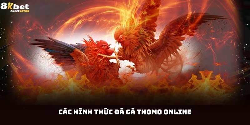 Các hình thức cược đá gà Thomo online Các hình thức cược đá gà Thomo online