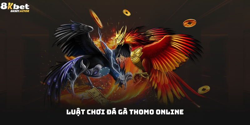 Luật chơi đá gà Thomo online chi tiết cho tân thủ Luật chơi đá gà Thomo online chi tiết cho tân thủ