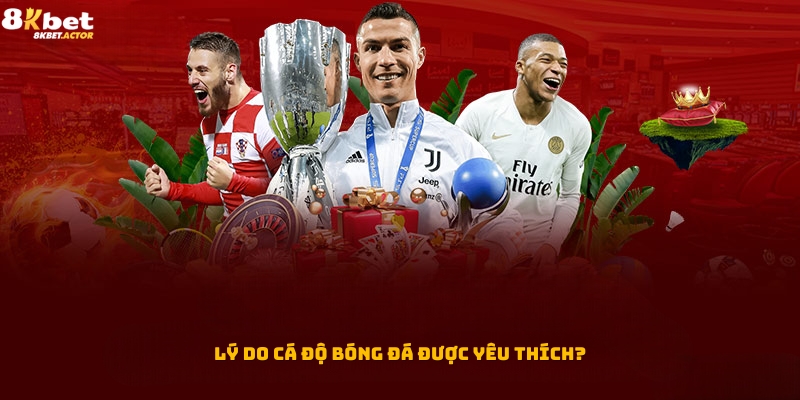 Lý do loại hình cá độ bóng đá được yêu thích? Lý do loại hình cá độ bóng đá được yêu thích?
