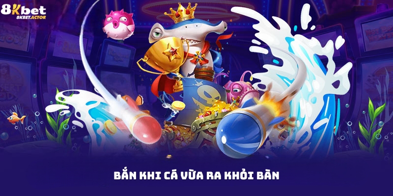 Mẹo chơi bắn cá H5 khi cá vừa ra khỏi bàn Mẹo chơi bắn cá H5 khi cá vừa ra khỏi bàn