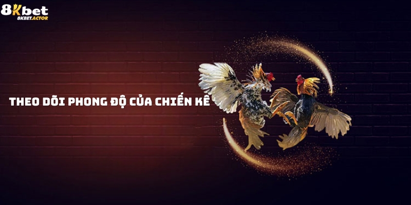 Mẹo chơi đá gà Thomo theo dõi phong độ chiến kê Mẹo chơi đá gà Thomo theo dõi phong độ chiến kê