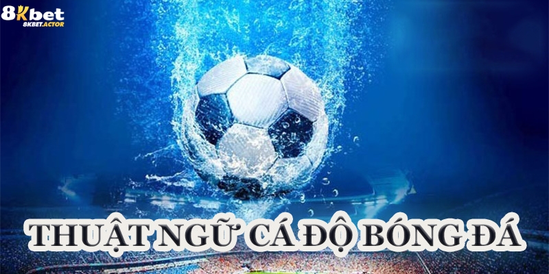 Các thuật ngữ trong cá độ bóng đá Các thuật ngữ trong cá độ bóng đá