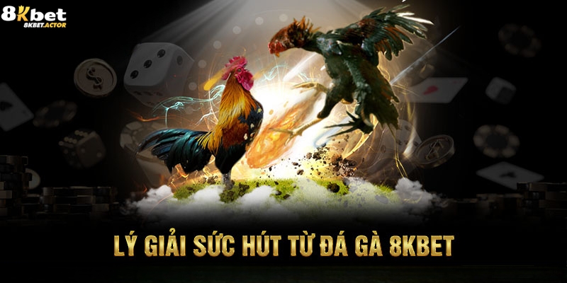 Ưu điểm nổi bật của sảnh cược đá gà 8Kbet Ưu điểm nổi bật của sảnh cược đá gà 8Kbet