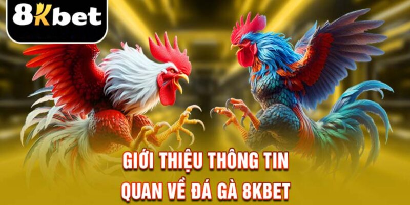 Đá gà 8kbet nơi những trận đấu hot không thể bỏ lỡ!