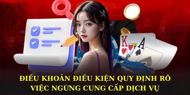 Điều khoản điều kiện quy định rõ việc ngừng cung cấp dịch vụ